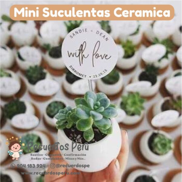 recuerdos bautizo bodas misas confirmacion barato por mayor lima peru mini suculentas ceramica